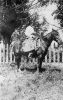 Woman on Horse Woman on Horse